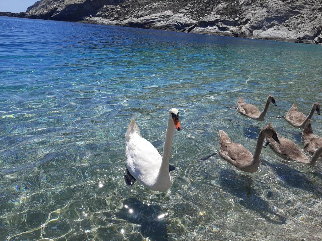 Andros Eco Home غافريون المظهر الخارجي الصورة